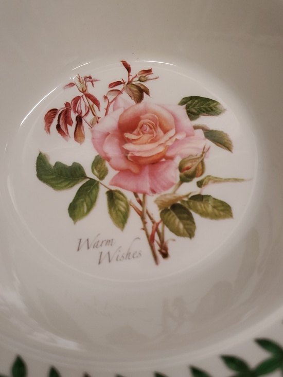 Portmeirion Botanic Roses 6.5" Bowl - Picture 2 of 5